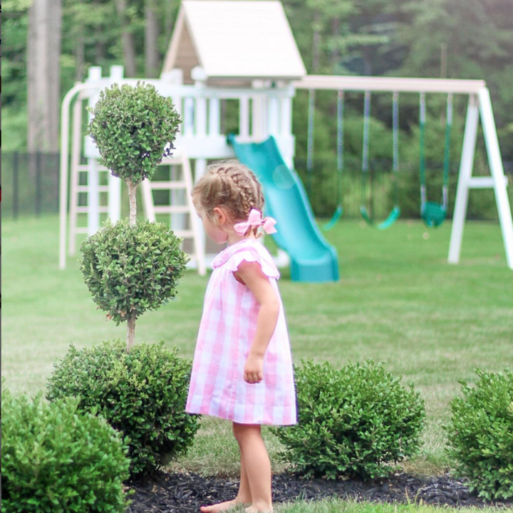 Monkey Play Set Package #1