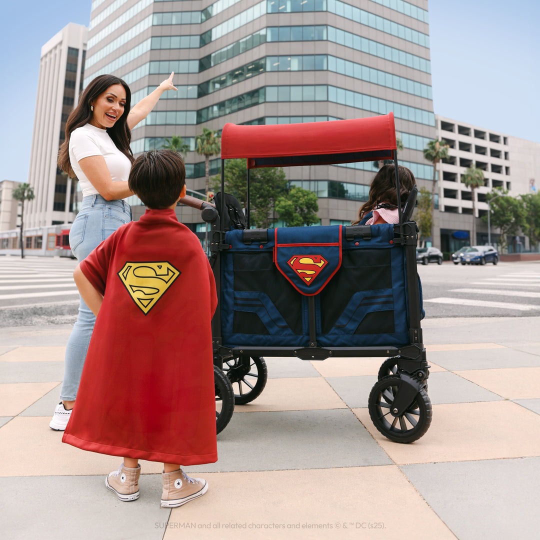 Superman Canopy Fabric