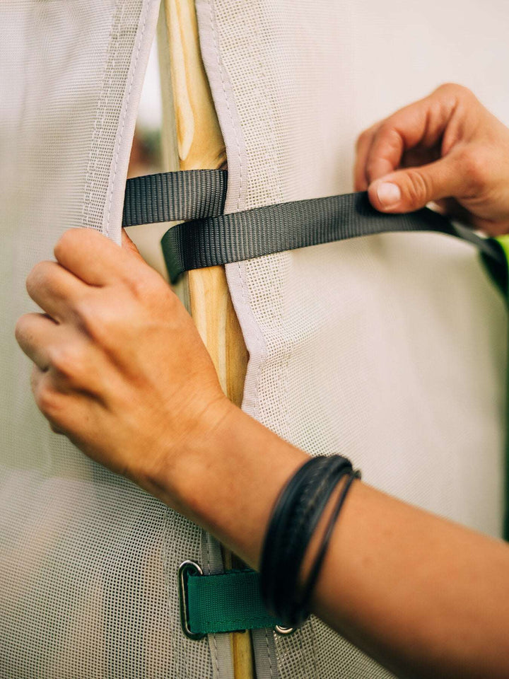 Bloom Hanging Planters