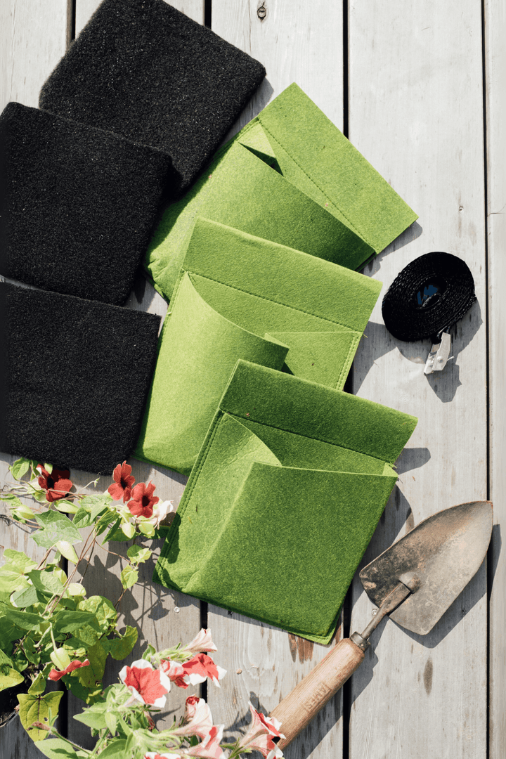 Bloom Hanging Planters