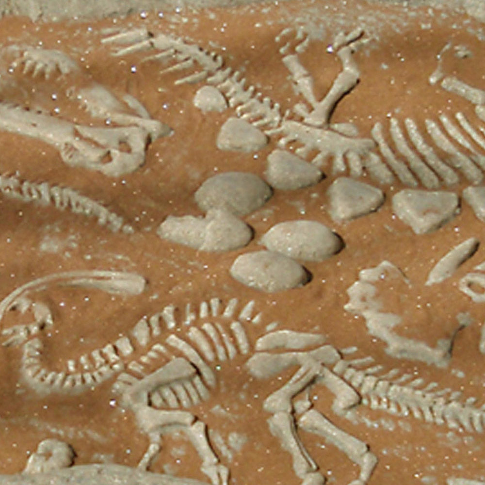 Digasaurus Activity Sandbox - Dinosaur Excavation Activity - ZOOM