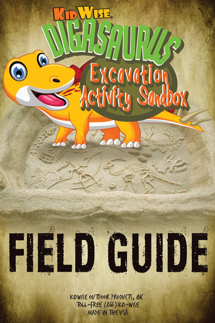 Comes with an Excavation Acitivty Field Guide